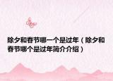 除夕和春節(jié)哪一個是過年（除夕和春節(jié)哪個是過年簡介介紹）