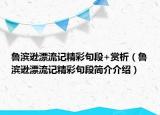 魯濱遜漂流記精彩句段+賞析（魯濱遜漂流記精彩句段簡(jiǎn)介介紹）