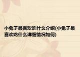 小兔子最喜歡吃什么介紹(小兔子最喜歡吃什么詳細情況如何)