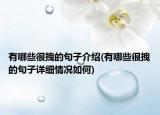 有哪些很拽的句子介紹(有哪些很拽的句子詳細(xì)情況如何)