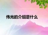 偉光的介紹是什么