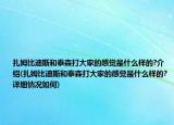 扎姆比迪斯和泰森打大家的感覺是什么樣的?介紹(扎姆比迪斯和泰森打大家的感覺是什么樣的?詳細(xì)情況如何)