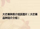 大芒果種類介紹及圖片（大芒果品種簡介介紹）