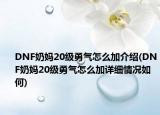 DNF奶媽20級(jí)勇氣怎么加介紹(DNF奶媽20級(jí)勇氣怎么加詳細(xì)情況如何)