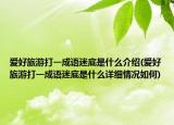 愛好旅游打一成語(yǔ)迷底是什么介紹(愛好旅游打一成語(yǔ)迷底是什么詳細(xì)情況如何)