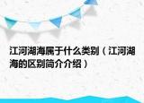 江河湖海屬于什么類別（江河湖海的區(qū)別簡介介紹）