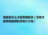 微信里怎么才能有微粒貸（怎樣才能有微信微粒貸簡(jiǎn)介介紹）