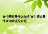 支付通道是什么介紹(支付通道是什么詳細(xì)情況如何)