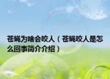 蒼蠅為啥會(huì)咬人（蒼蠅咬人是怎么回事簡(jiǎn)介介紹）