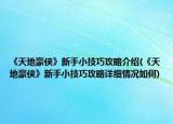 《天地豪俠》新手小技巧攻略介紹(《天地豪俠》新手小技巧攻略詳細(xì)情況如何)