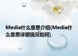 Media什么意思介紹(Media什么意思詳細(xì)情況如何)