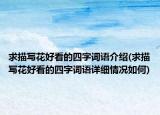 求描寫(xiě)花好看的四字詞語(yǔ)介紹(求描寫(xiě)花好看的四字詞語(yǔ)詳細(xì)情況如何)
