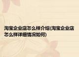 淘寶企業(yè)店怎么樣介紹(淘寶企業(yè)店怎么樣詳細(xì)情況如何)