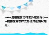 wow魔獸世界怎樣去外域介紹(wow魔獸世界怎樣去外域詳細(xì)情況如何)
