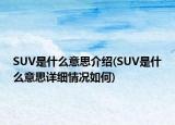 SUV是什么意思介紹(SUV是什么意思詳細情況如何)