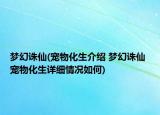 夢幻誅仙(寵物化生介紹 夢幻誅仙 寵物化生詳細(xì)情況如何)