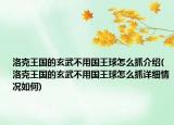 洛克王國的玄武不用國王球怎么抓介紹(洛克王國的玄武不用國王球怎么抓詳細(xì)情況如何)