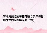 寧澤濤獲得冠軍的成績（寧澤濤有得過世界冠軍嗎簡介介紹）