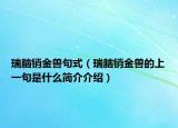 瑞腦銷金獸句式（瑞腦銷金獸的上一句是什么簡介介紹）