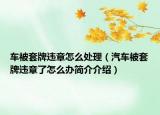 車被套牌違章怎么處理（汽車被套牌違章了怎么辦簡介介紹）
