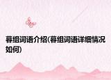 暮組詞語(yǔ)介紹(暮組詞語(yǔ)詳細(xì)情況如何)