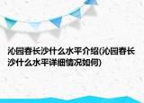 沁園春長沙什么水平介紹(沁園春長沙什么水平詳細情況如何)
