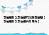 友誼是什么友誼是友誼是友誼是（友誼是什么友誼是簡(jiǎn)介介紹）