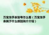 萬(wàn)寶龍手表型號(hào)怎么看（萬(wàn)寶龍手表屬于什么級(jí)別簡(jiǎn)介介紹）