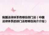 我國法律體系有哪些部門法（中國法律體系的部門法有哪些簡介介紹）