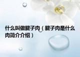 什么叫做腱子肉（腱子肉是什么肉簡介介紹）