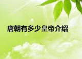 唐朝有多少皇帝介紹