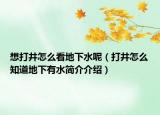 想打井怎么看地下水呢（打井怎么知道地下有水簡介介紹）