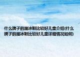 什么牌子的溜冰鞋比較好兒童介紹(什么牌子的溜冰鞋比較好兒童詳細情況如何)