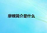 廖嫂簡(jiǎn)介是什么