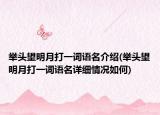 舉頭望明月打一詞語名介紹(舉頭望明月打一詞語名詳細情況如何)