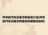 呼市的汽車違章怎樣查詢介紹(呼市的汽車違章怎樣查詢詳細情況如何)