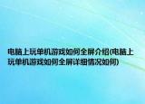 電腦上玩單機(jī)游戲如何全屏介紹(電腦上玩單機(jī)游戲如何全屏詳細(xì)情況如何)