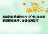 國際籃聯(lián)籃板標(biāo)準(zhǔn)尺寸介紹(國際籃聯(lián)籃板標(biāo)準(zhǔn)尺寸詳細(xì)情況如何)