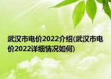 武漢市電價(jià)2022介紹(武漢市電價(jià)2022詳細(xì)情況如何)