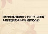 深圳報業(yè)集團(tuán)是國營企業(yè)嗎介紹(深圳報業(yè)集團(tuán)是國營企業(yè)嗎詳細(xì)情況如何)