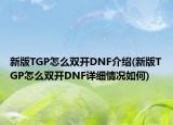 新版TGP怎么雙開DNF介紹(新版TGP怎么雙開DNF詳細情況如何)