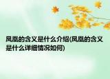 鳳凰的含義是什么介紹(鳳凰的含義是什么詳細情況如何)