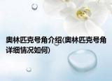 奧林匹克號角介紹(奧林匹克號角詳細情況如何)