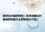 佛坪紅葉最好時(shí)間（松坪溝看紅葉最佳時(shí)間是什么時(shí)候簡介介紹）