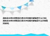 湖南省永州市祁陽縣白果市鄉(xiāng)柏福村郵編是什么介紹(湖南省永州市祁陽縣白果市鄉(xiāng)柏福村郵編是什么詳細情況如何)