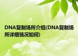 DNA復(fù)制場所介紹(DNA復(fù)制場所詳細(xì)情況如何)