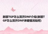 新版TGP怎么雙開DNF介紹(新版TGP怎么雙開DNF詳細情況如何)
