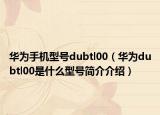 華為手機型號dubtl00（華為dubtl00是什么型號簡介介紹）