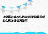 捉蝴蝶游戲怎么玩介紹(捉蝴蝶游戲怎么玩詳細(xì)情況如何)