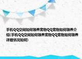 手機(jī)QQ空間如何領(lǐng)養(yǎng)寵物QQ寵物如何領(lǐng)養(yǎng)介紹(手機(jī)QQ空間如何領(lǐng)養(yǎng)寵物QQ寵物如何領(lǐng)養(yǎng)詳細(xì)情況如何)